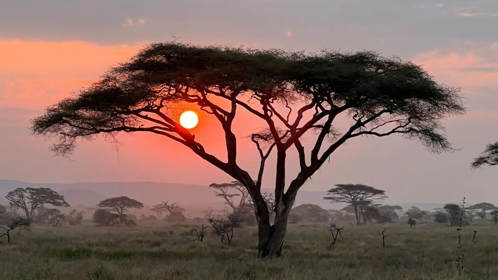 Kenya — photo 3