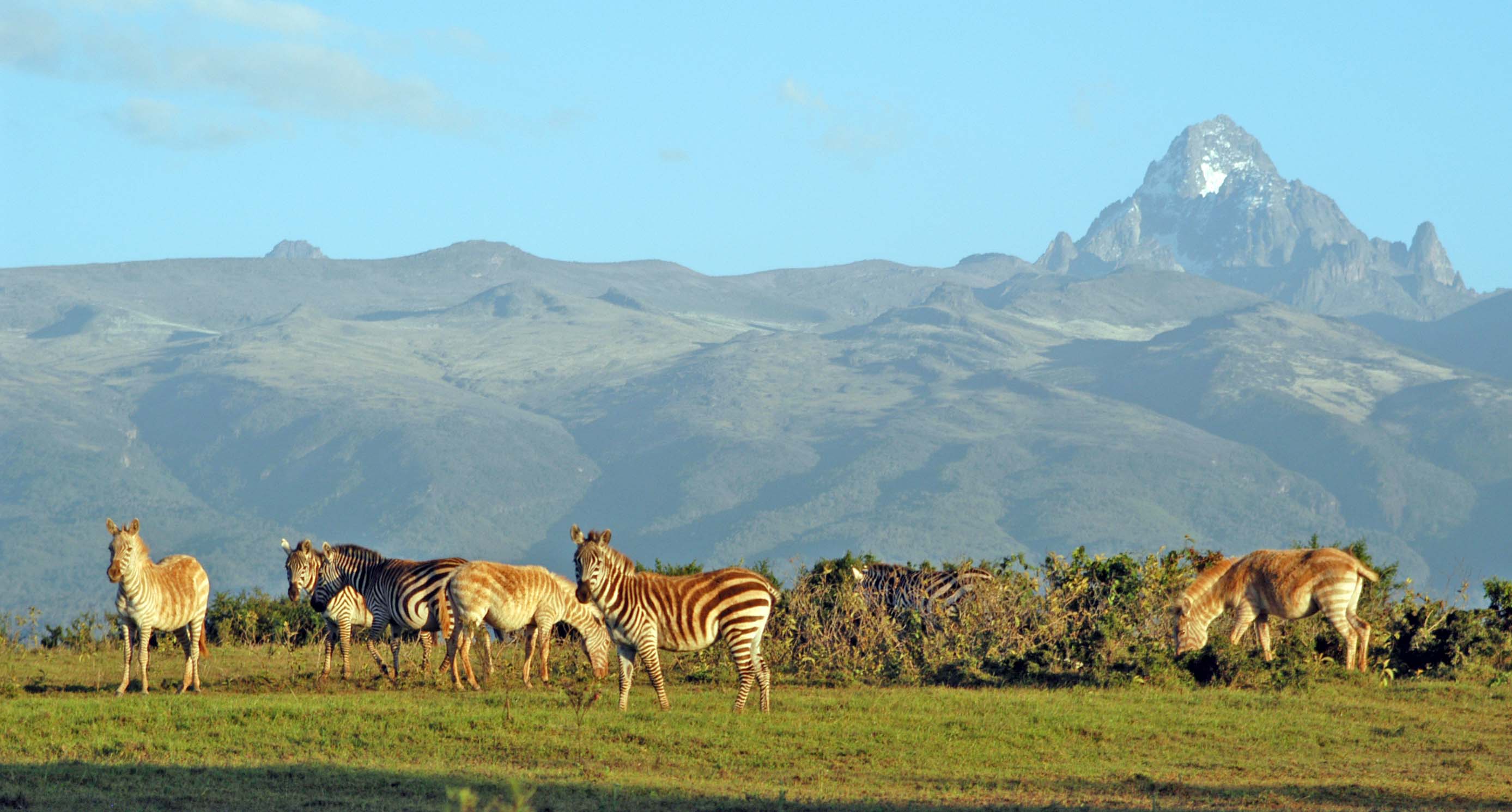 Kenya — photo 5