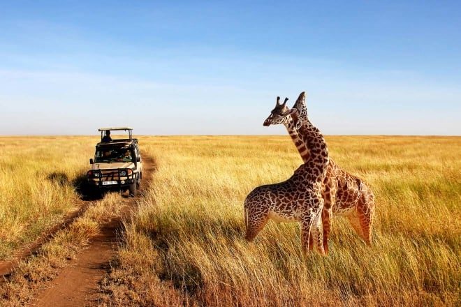 Travel with purpose